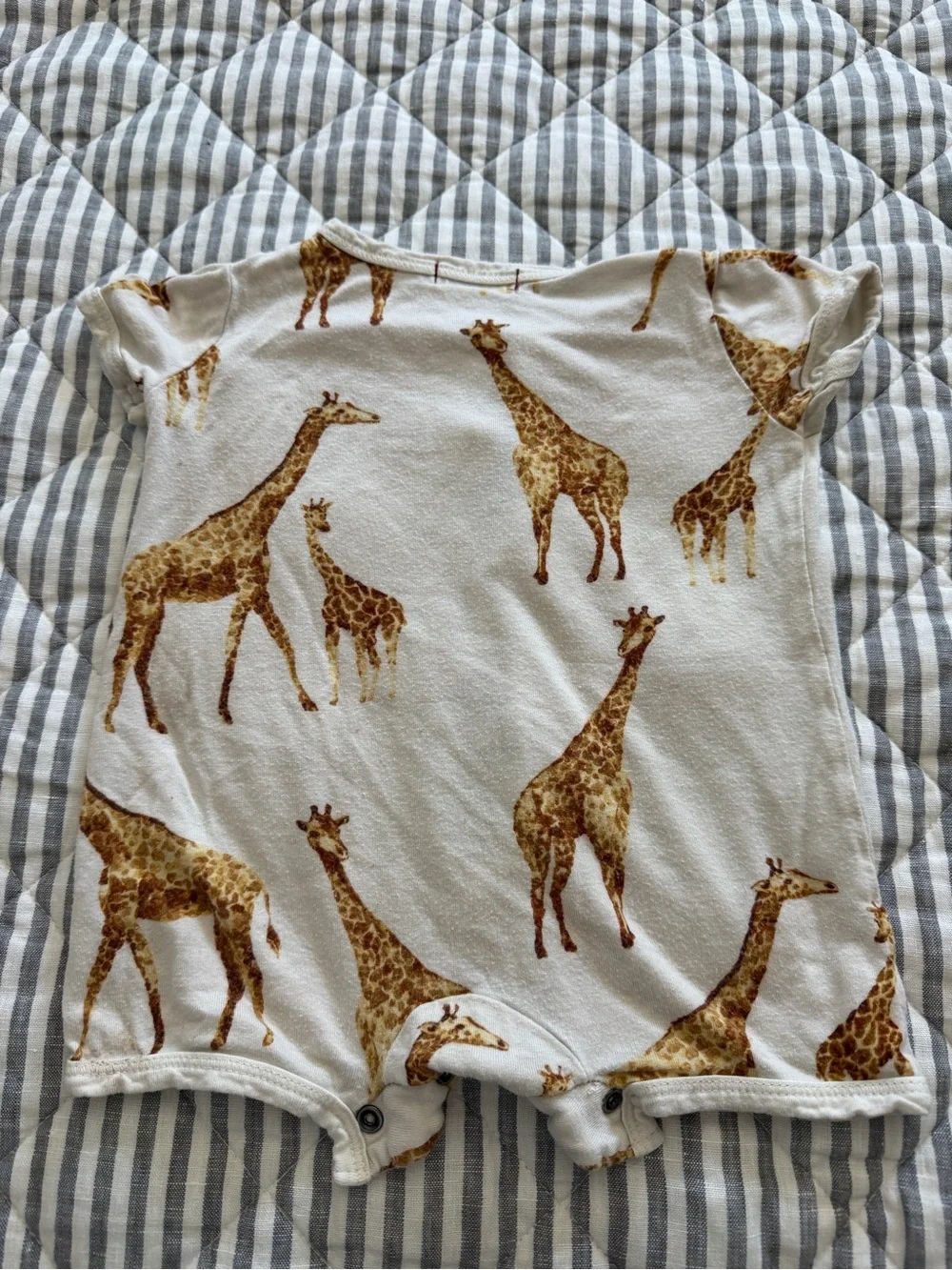 Milkbarn 3-6 month bundle